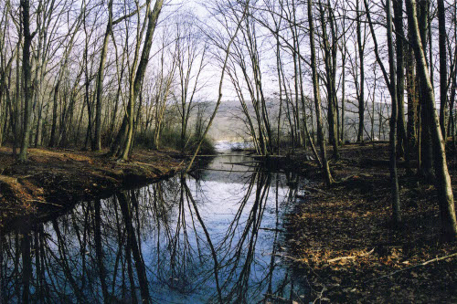 Misc Scan - French Creek State Park - 1 